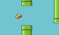 Flappy Bird is No More!